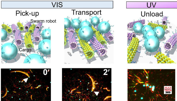 Molecular robots work cooperatively in swarms logo/martech360